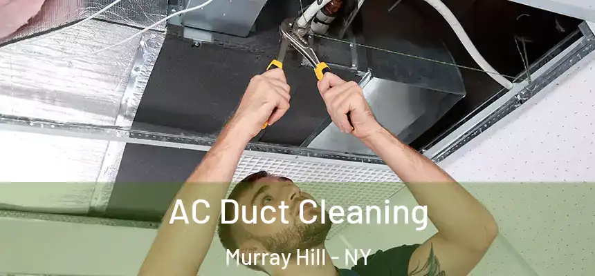  AC Duct Cleaning Murray Hill - NY