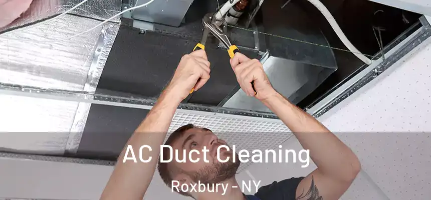  AC Duct Cleaning Roxbury - NY