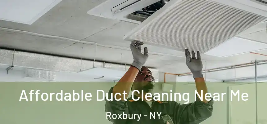  Affordable Duct Cleaning Near Me Roxbury - NY