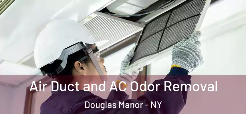  Air Duct and AC Odor Removal Douglas Manor - NY