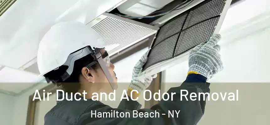  Air Duct and AC Odor Removal Hamilton Beach - NY