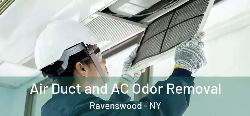  Air Duct and AC Odor Removal Ravenswood - NY