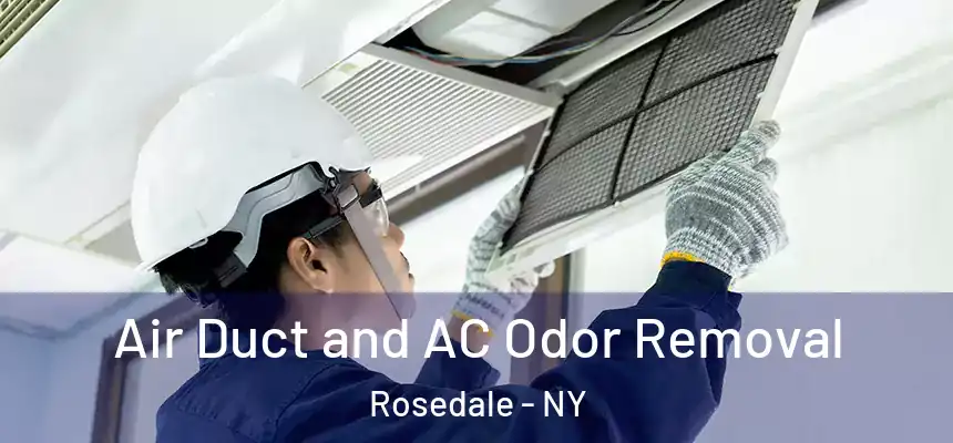 Air Duct and AC Odor Removal Rosedale - NY