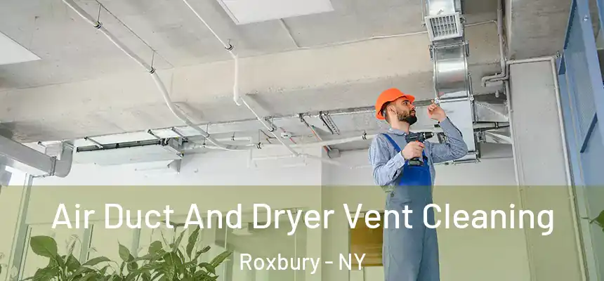  Air Duct And Dryer Vent Cleaning Roxbury - NY