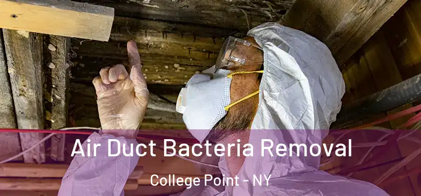  Air Duct Bacteria Removal College Point - NY