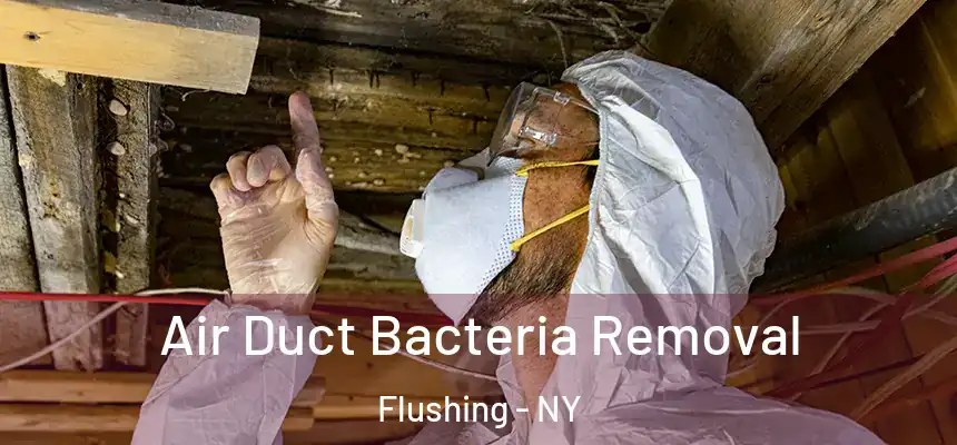 Air Duct Bacteria Removal Flushing - NY