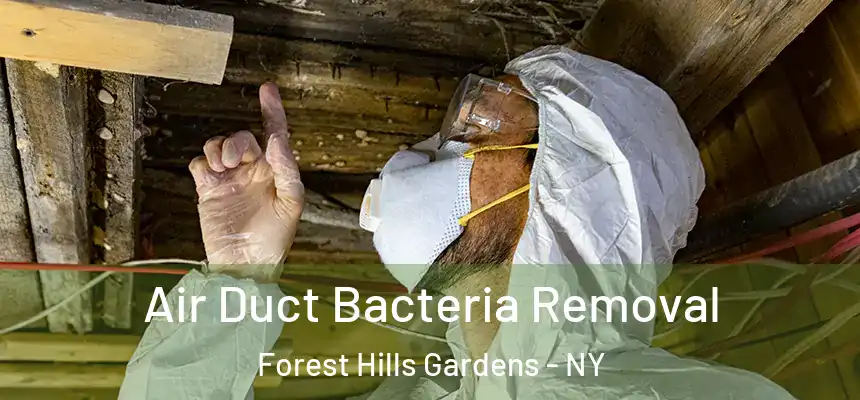  Air Duct Bacteria Removal Forest Hills Gardens - NY