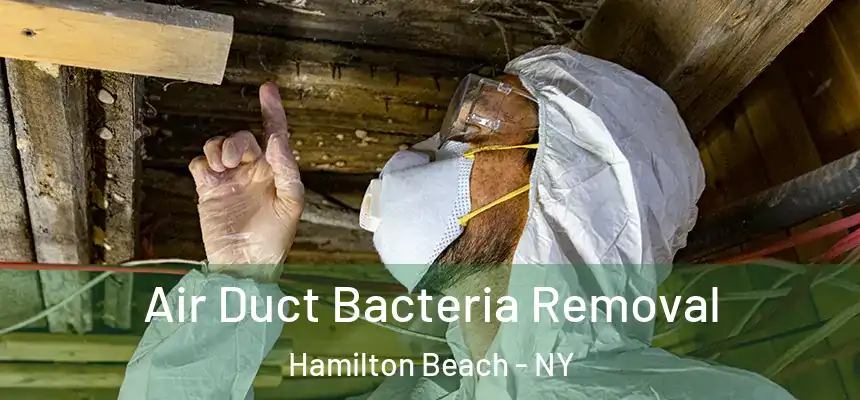  Air Duct Bacteria Removal Hamilton Beach - NY