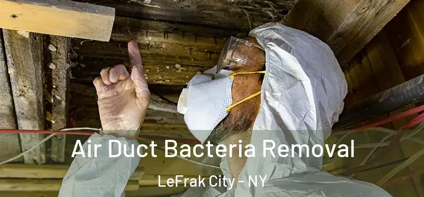 Air Duct Bacteria Removal LeFrak City - NY