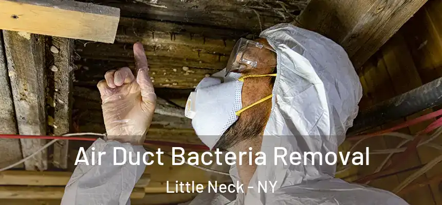  Air Duct Bacteria Removal Little Neck - NY