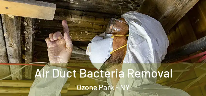 Air Duct Bacteria Removal Ozone Park - NY