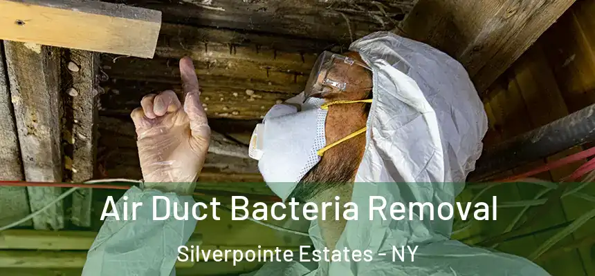 Air Duct Bacteria Removal Silverpointe Estates - NY