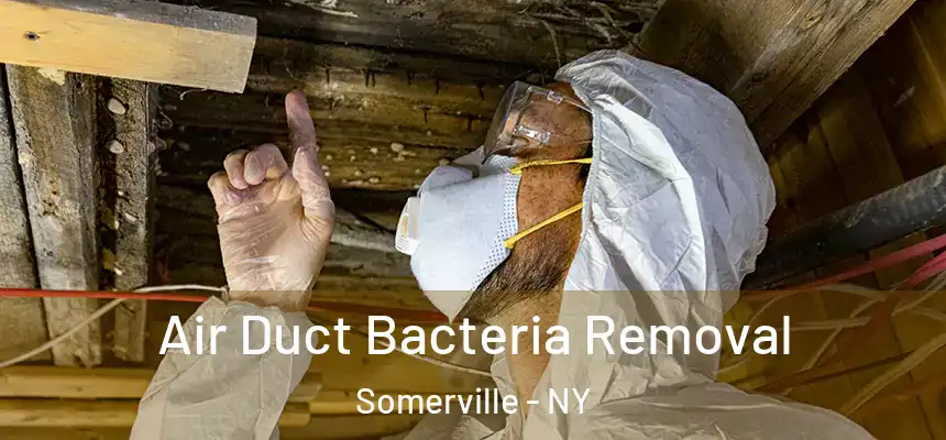 Air Duct Bacteria Removal Somerville - NY