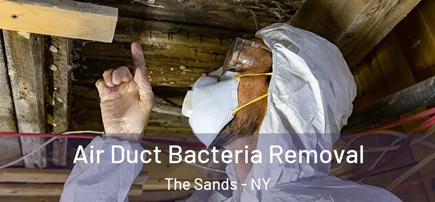  Air Duct Bacteria Removal The Sands - NY