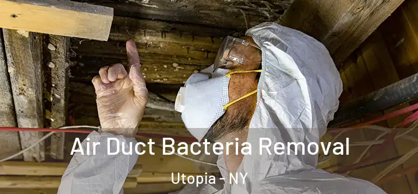 Air Duct Bacteria Removal Utopia - NY