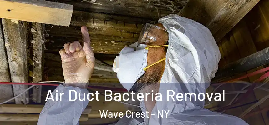 Air Duct Bacteria Removal Wave Crest - NY