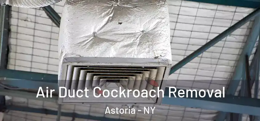  Air Duct Cockroach Removal Astoria - NY