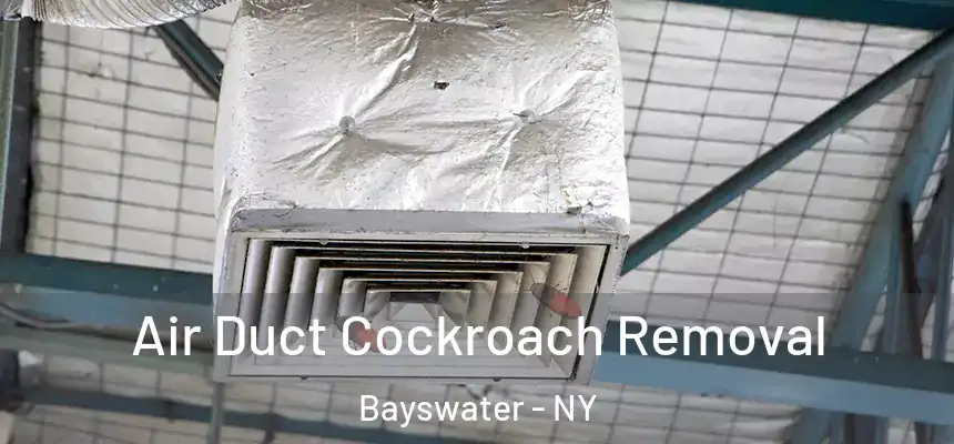 Air Duct Cockroach Removal Bayswater - NY