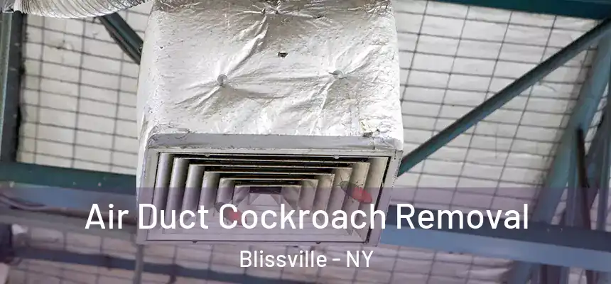  Air Duct Cockroach Removal Blissville - NY