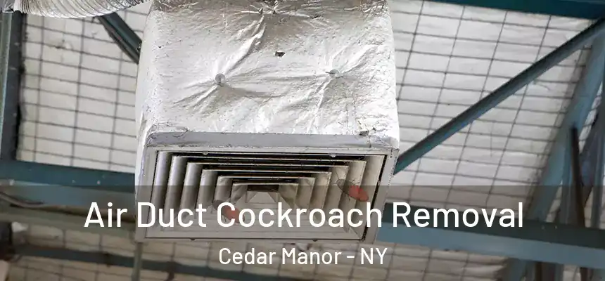  Air Duct Cockroach Removal Cedar Manor - NY