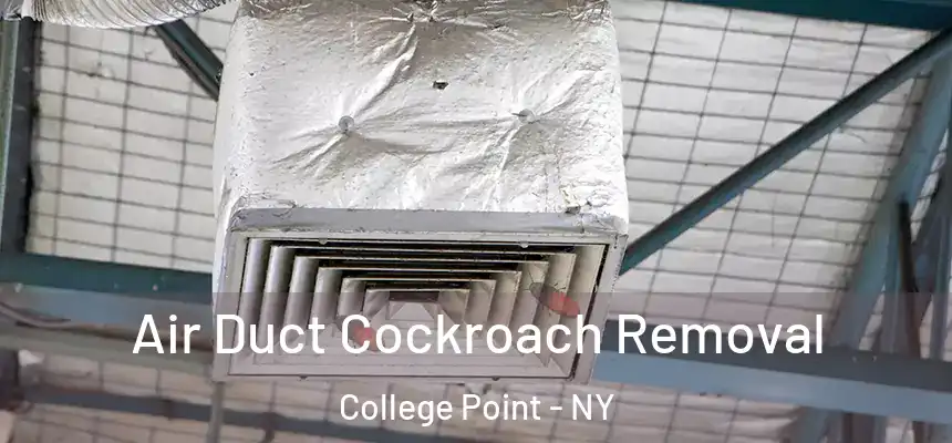 Air Duct Cockroach Removal College Point - NY