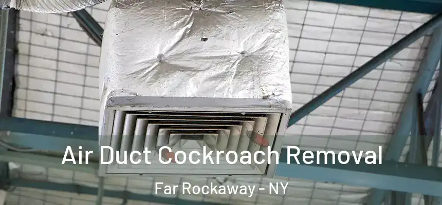 Air Duct Cockroach Removal Far Rockaway - NY