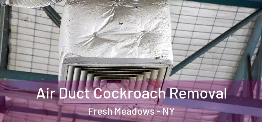 Air Duct Cockroach Removal Fresh Meadows - NY