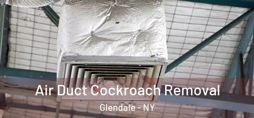 Air Duct Cockroach Removal Glendale - NY