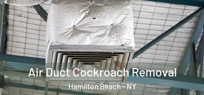 Air Duct Cockroach Removal Hamilton Beach - NY