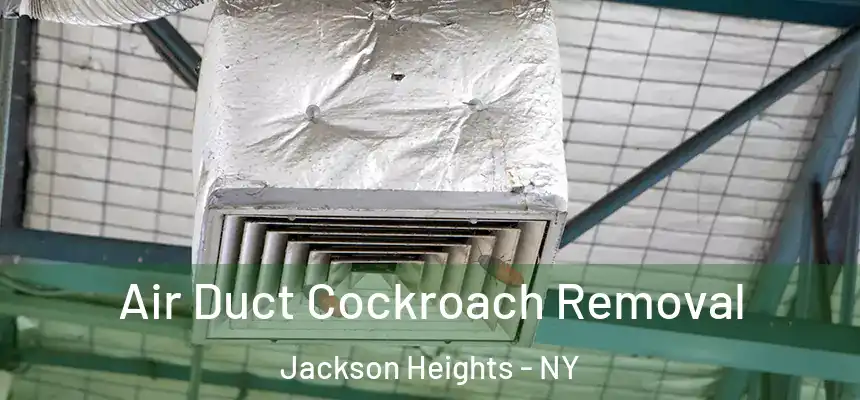 Air Duct Cockroach Removal Jackson Heights - NY