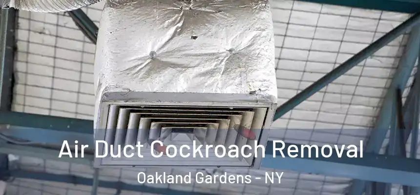  Air Duct Cockroach Removal Oakland Gardens - NY