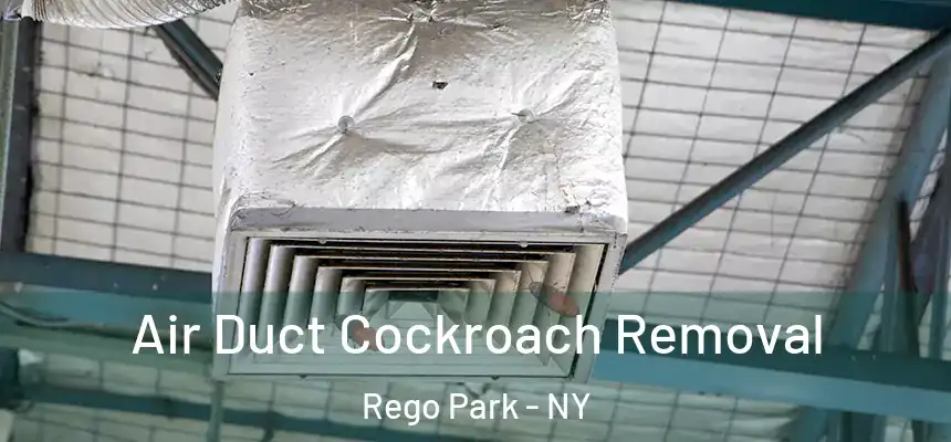  Air Duct Cockroach Removal Rego Park - NY
