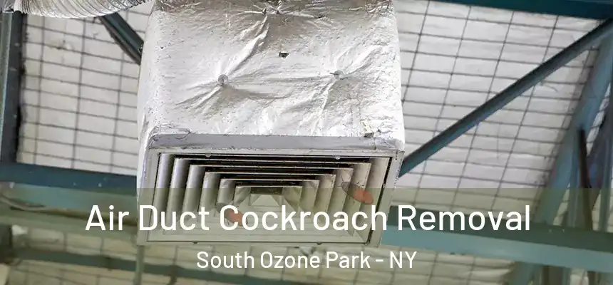  Air Duct Cockroach Removal South Ozone Park - NY