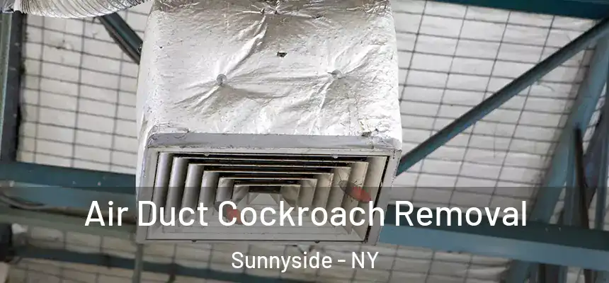 Air Duct Cockroach Removal Sunnyside - NY