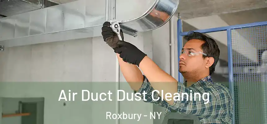Air Duct Dust Cleaning Roxbury - NY