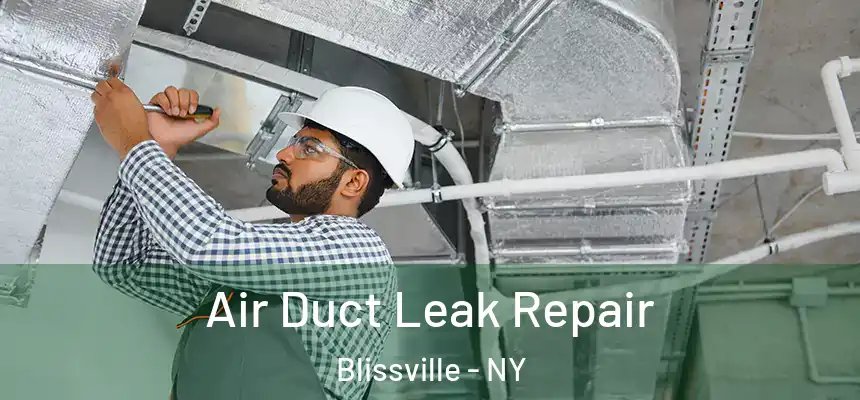  Air Duct Leak Repair Blissville - NY