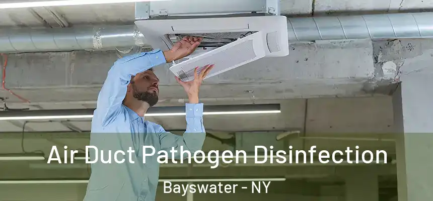  Air Duct Pathogen Disinfection Bayswater - NY