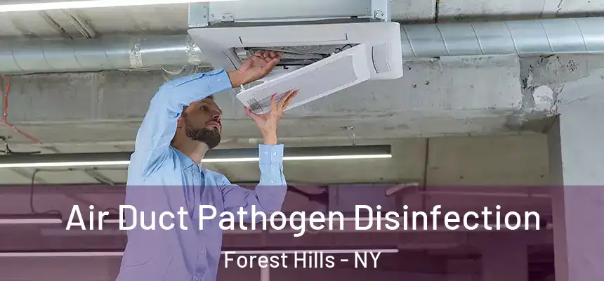  Air Duct Pathogen Disinfection Forest Hills - NY