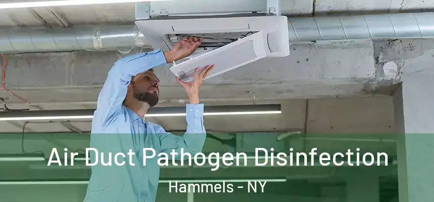 Air Duct Pathogen Disinfection Hammels - NY