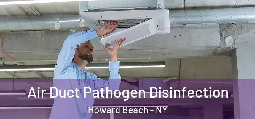  Air Duct Pathogen Disinfection Howard Beach - NY
