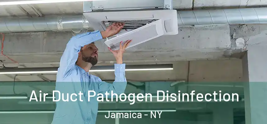  Air Duct Pathogen Disinfection Jamaica - NY