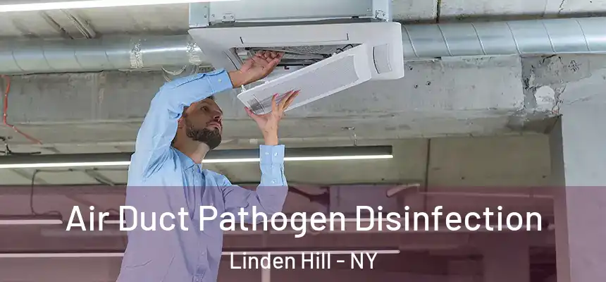 Air Duct Pathogen Disinfection Linden Hill - NY