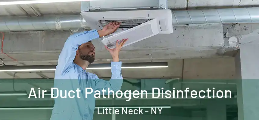 Air Duct Pathogen Disinfection Little Neck - NY