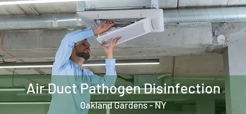  Air Duct Pathogen Disinfection Oakland Gardens - NY