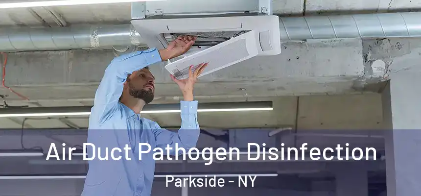  Air Duct Pathogen Disinfection Parkside - NY
