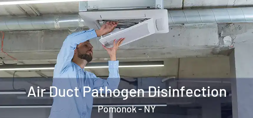  Air Duct Pathogen Disinfection Pomonok - NY