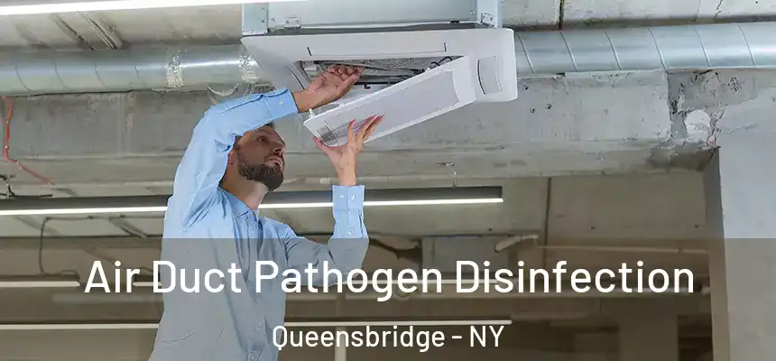 Air Duct Pathogen Disinfection Queensbridge - NY