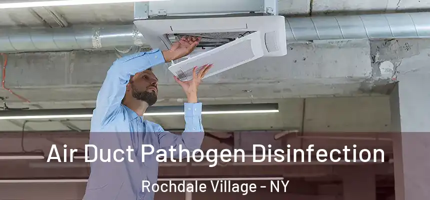  Air Duct Pathogen Disinfection Rochdale Village - NY