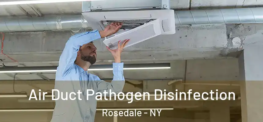  Air Duct Pathogen Disinfection Rosedale - NY