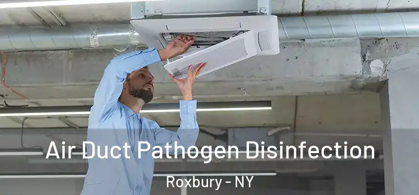  Air Duct Pathogen Disinfection Roxbury - NY